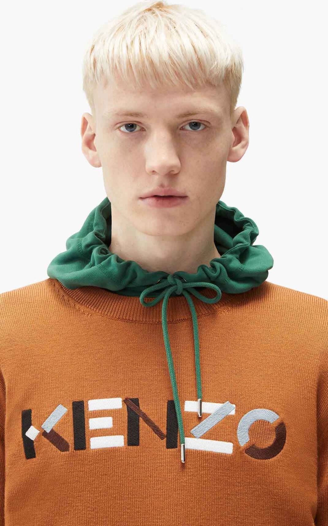 Pull Kenzo Homme Logo merino wool Marron AYZVB-0679